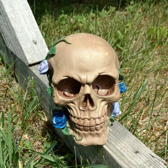 skull with roses - Picture 1 of 1